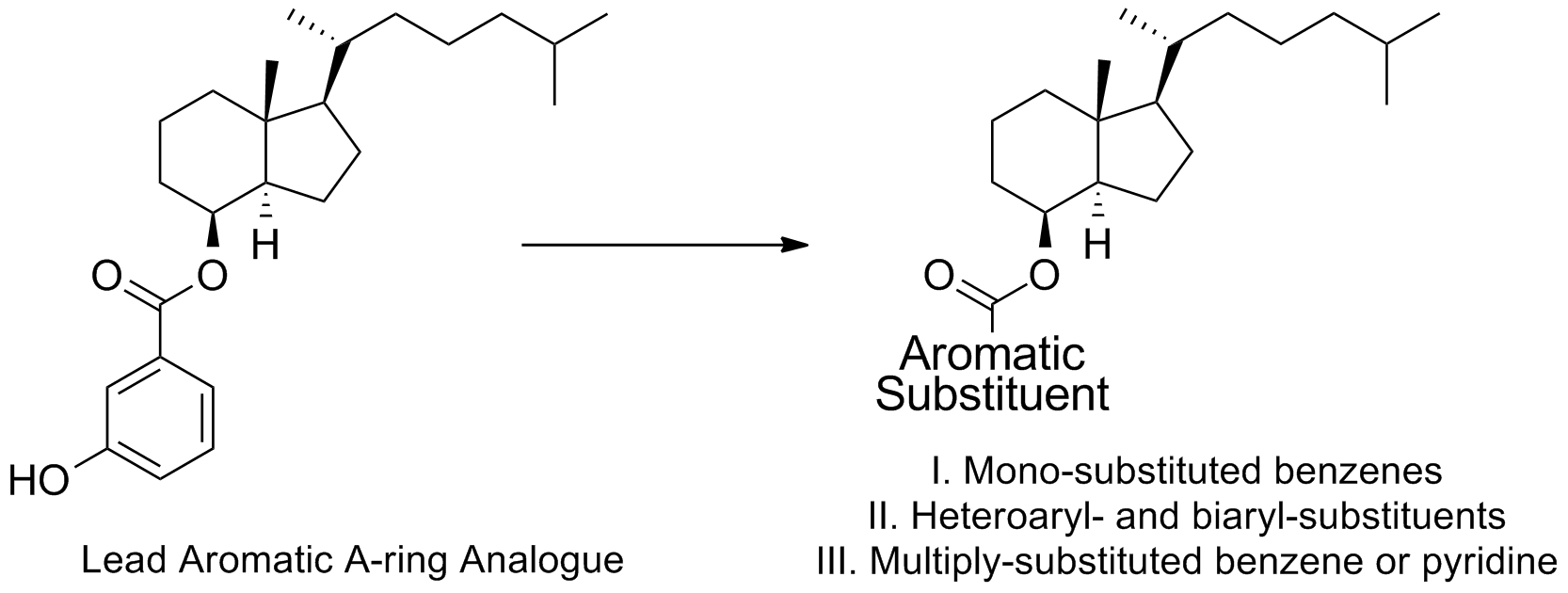 Graphical Abstract Aromatic A-Ring JMC